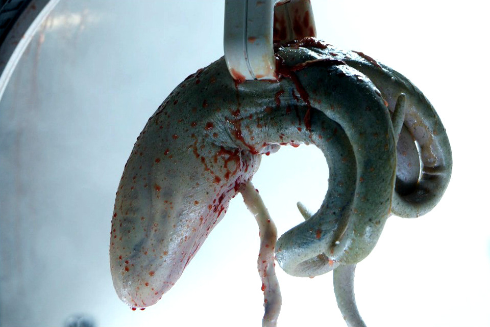 Archillect ID 395436