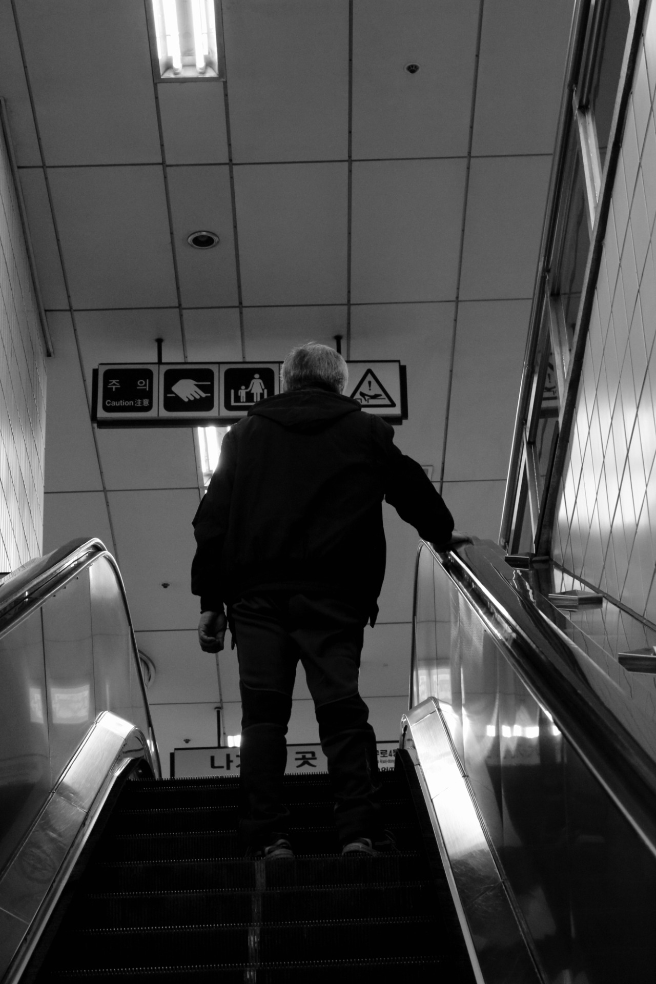 Archillect ID 395483