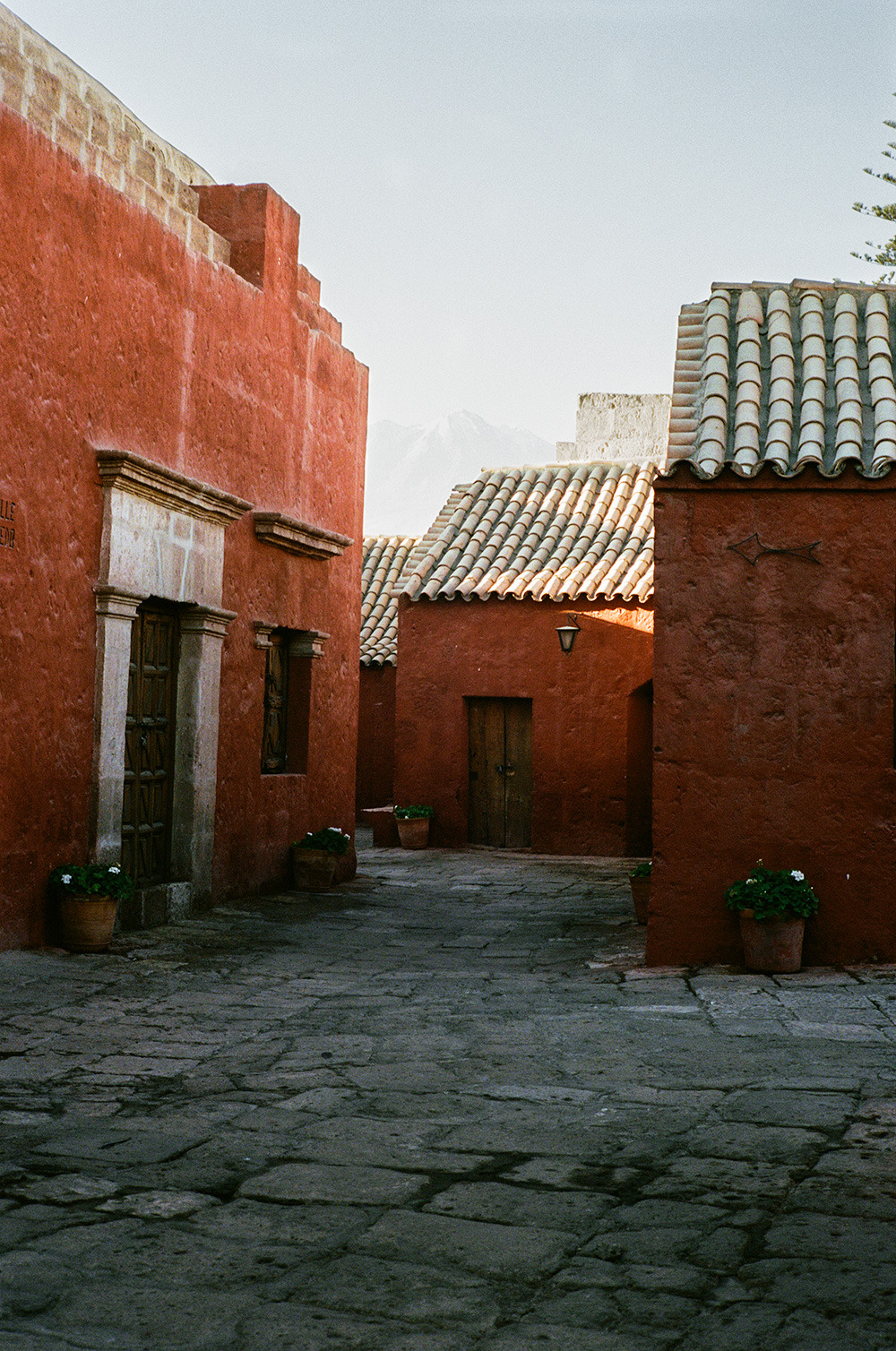 Archillect ID 395498