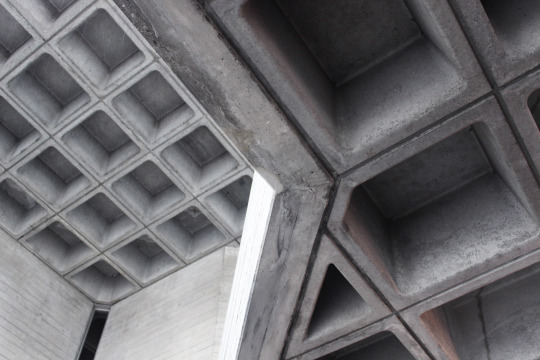 Archillect ID 395502