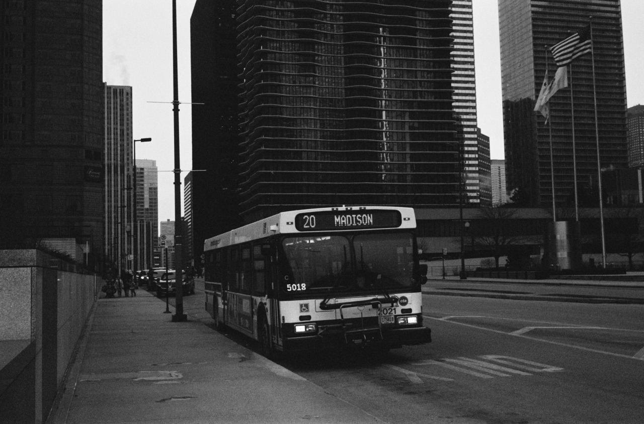 Archillect ID 395508