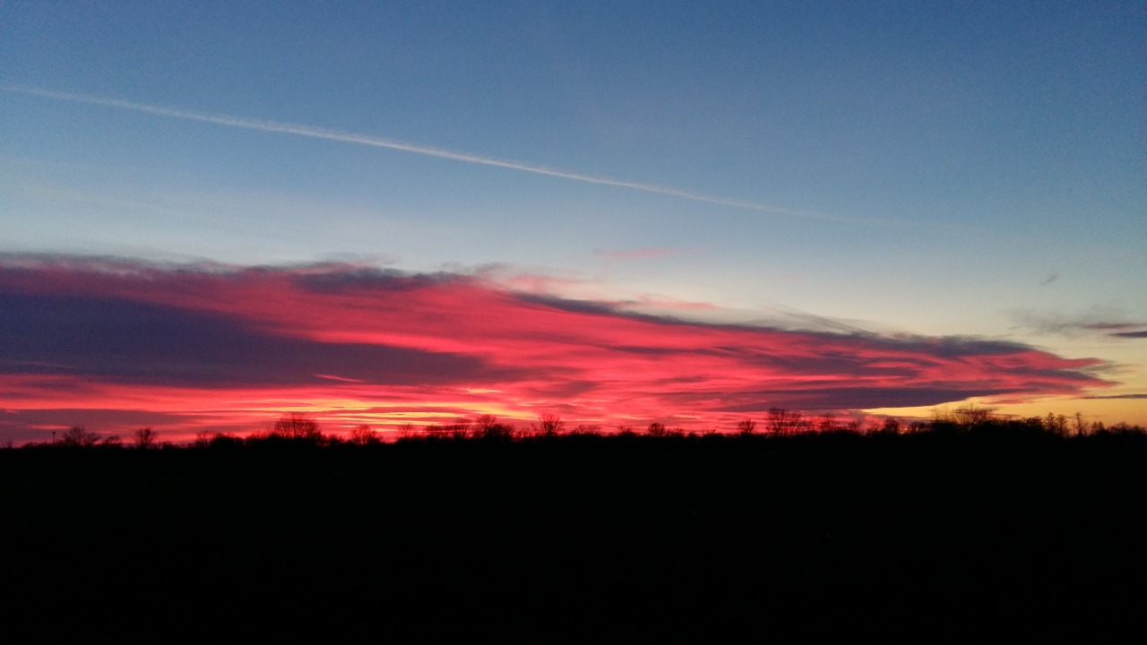 Archillect ID 395520