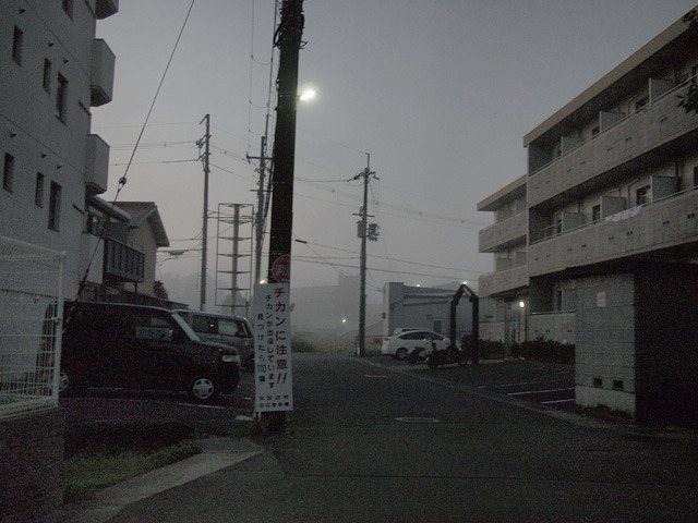 Archillect ID 395526