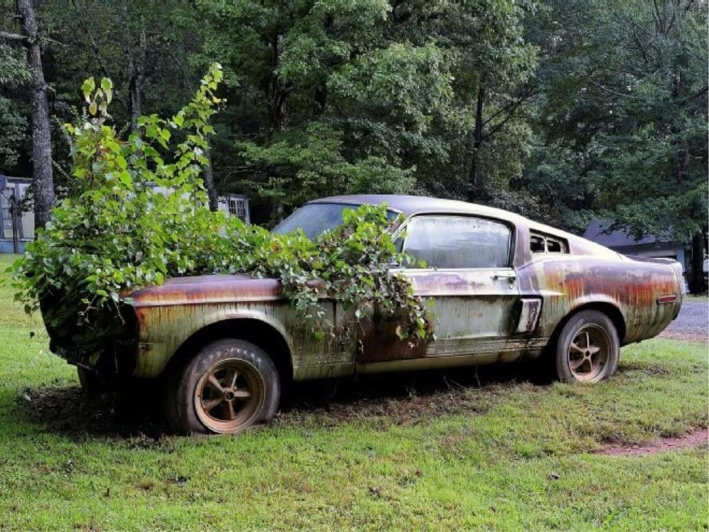 Archillect ID 395597