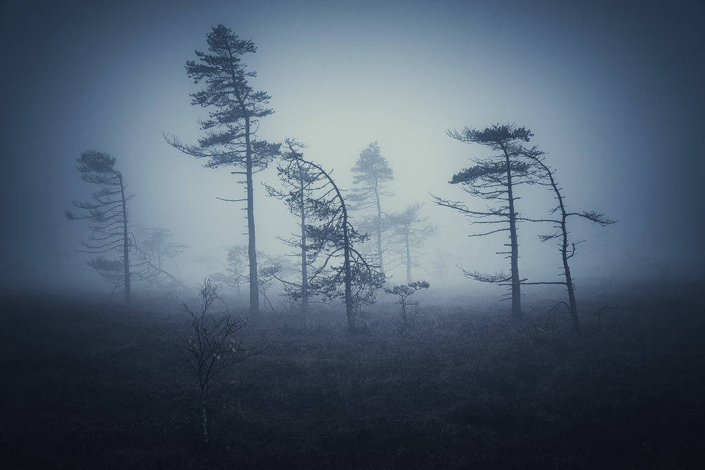 Archillect ID 395612