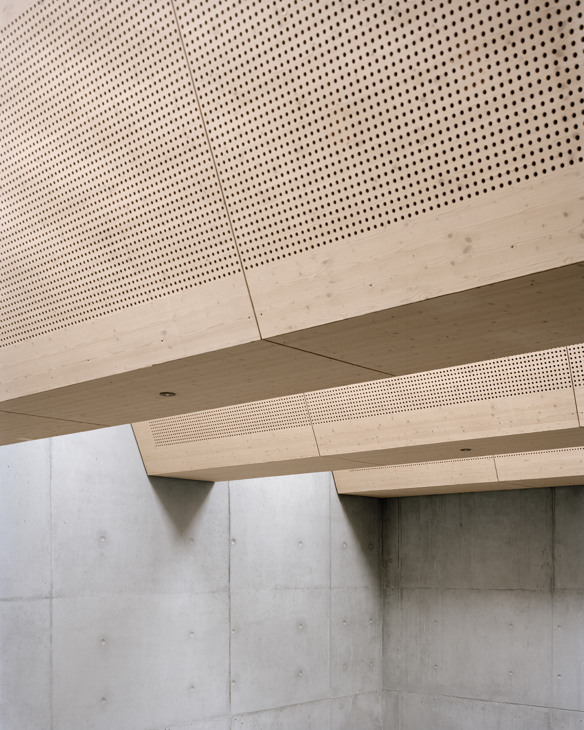 Archillect ID 395616