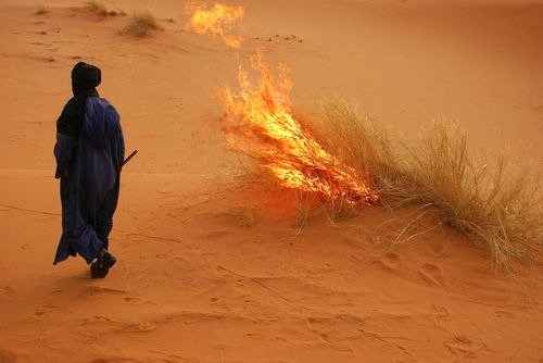 Archillect ID 395622