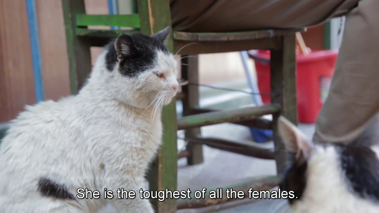 Archillect ID 395631