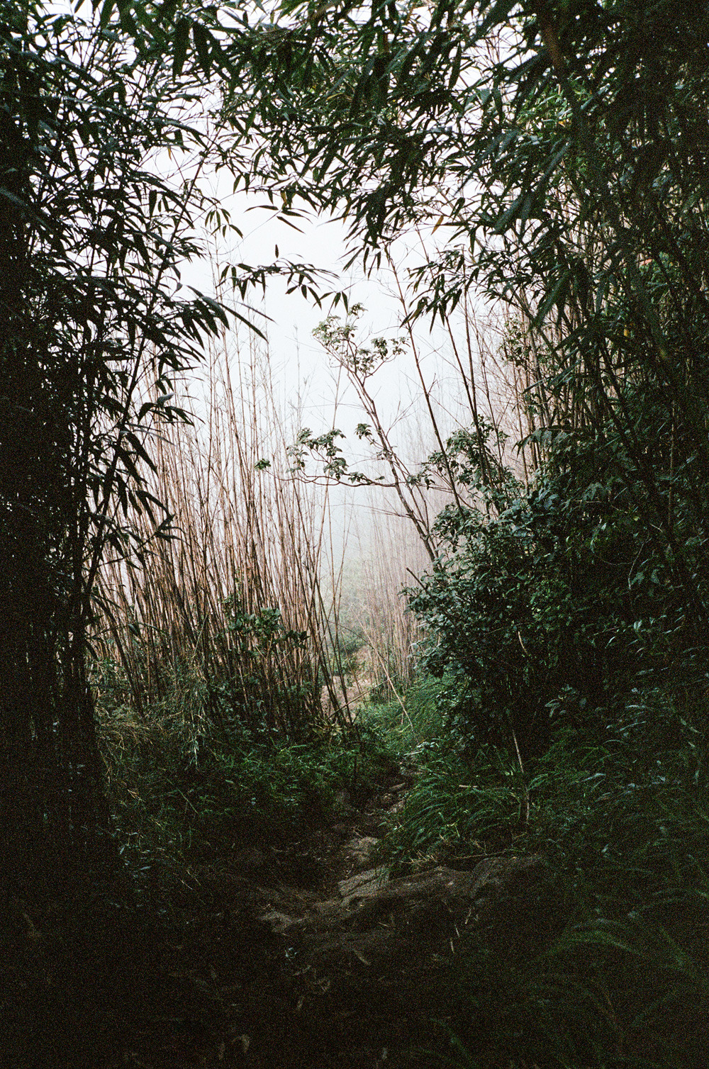 Archillect ID 395665