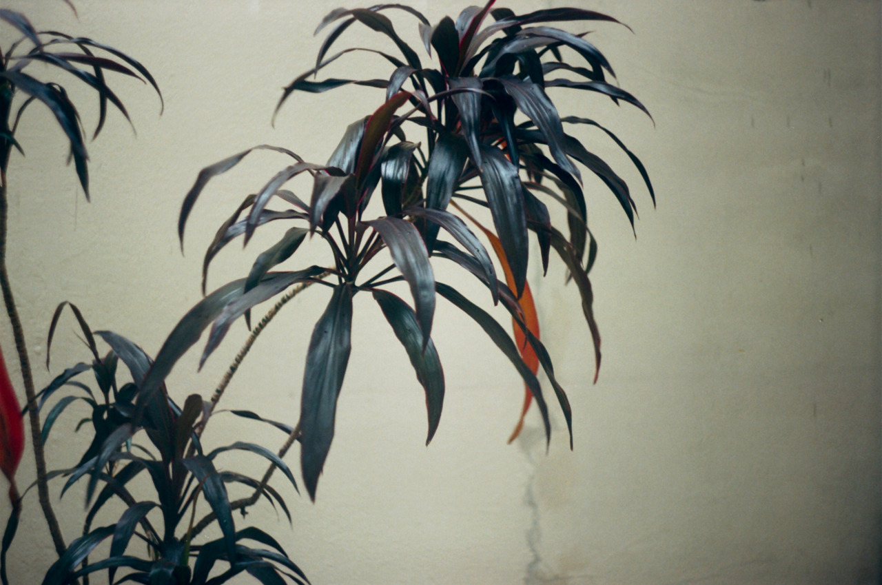 Archillect ID 395669