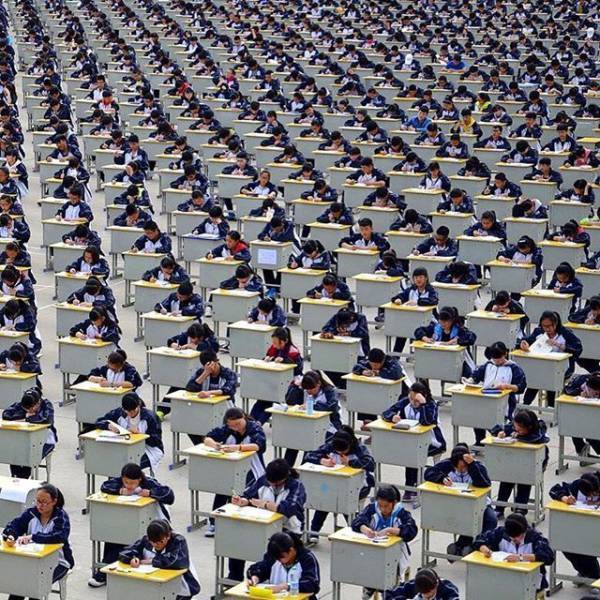 Archillect ID 395780