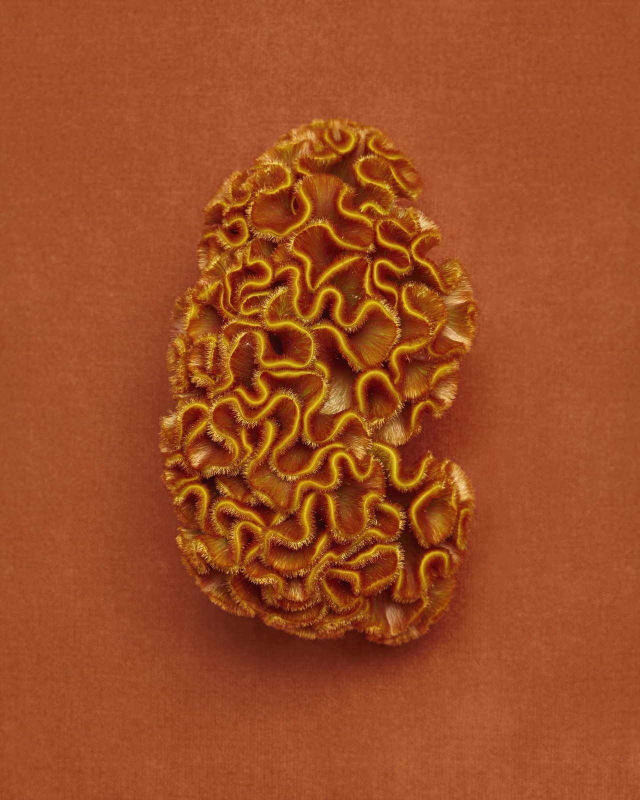 Archillect ID 395811