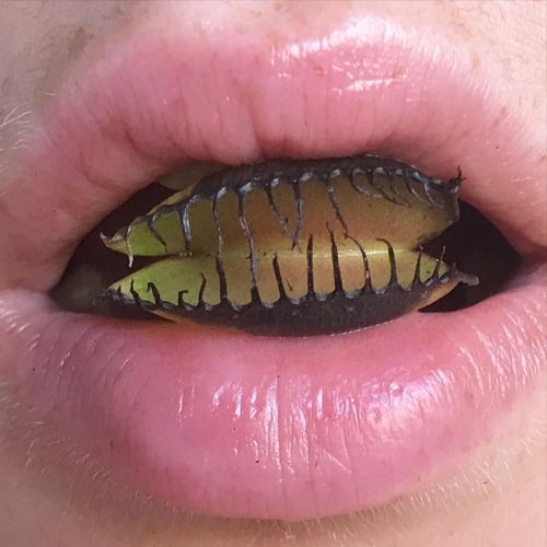 Archillect ID 395832