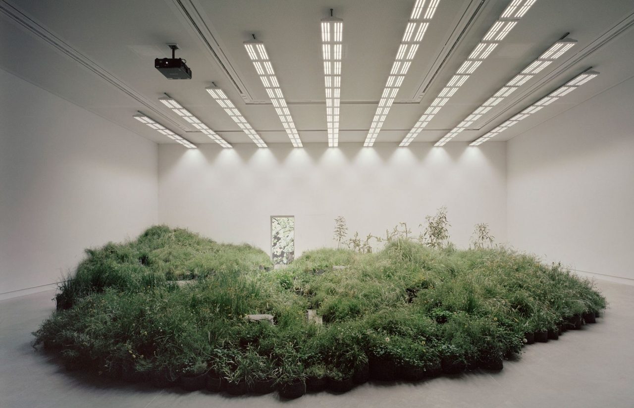 Archillect ID 395865