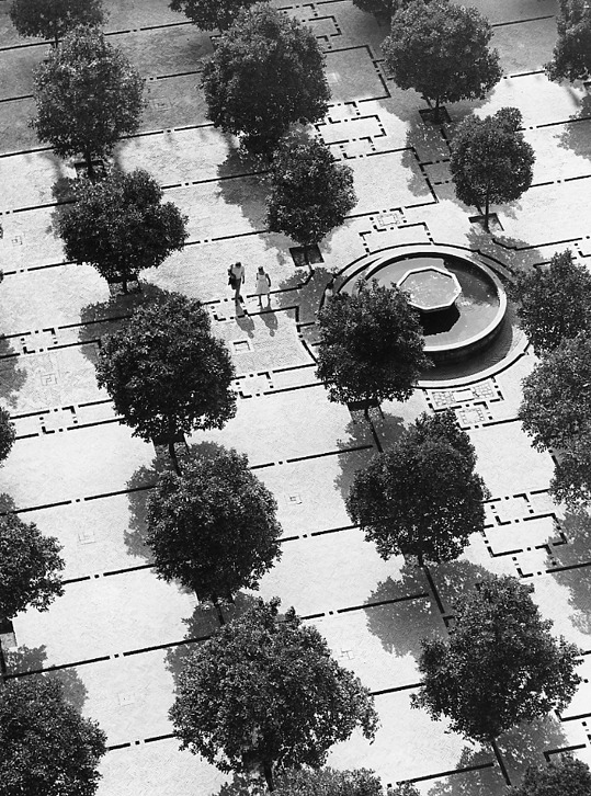 Archillect ID 395869