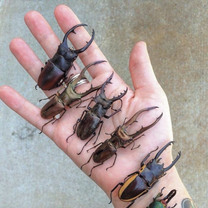 Archillect ID 395875