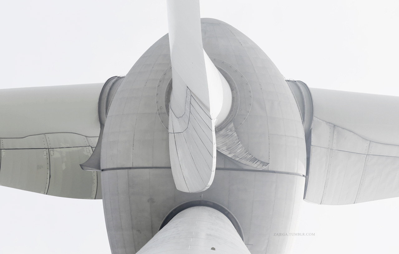 Archillect ID 395893