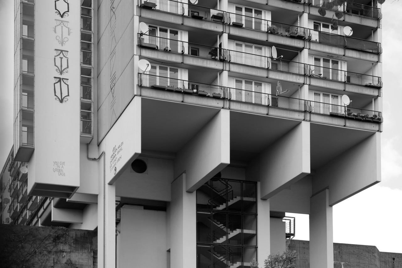 Archillect ID 395964