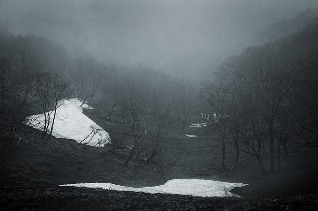 Archillect ID 395971