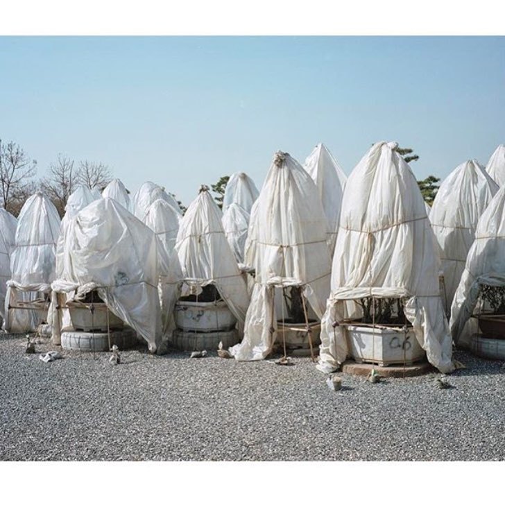 Archillect ID 396013