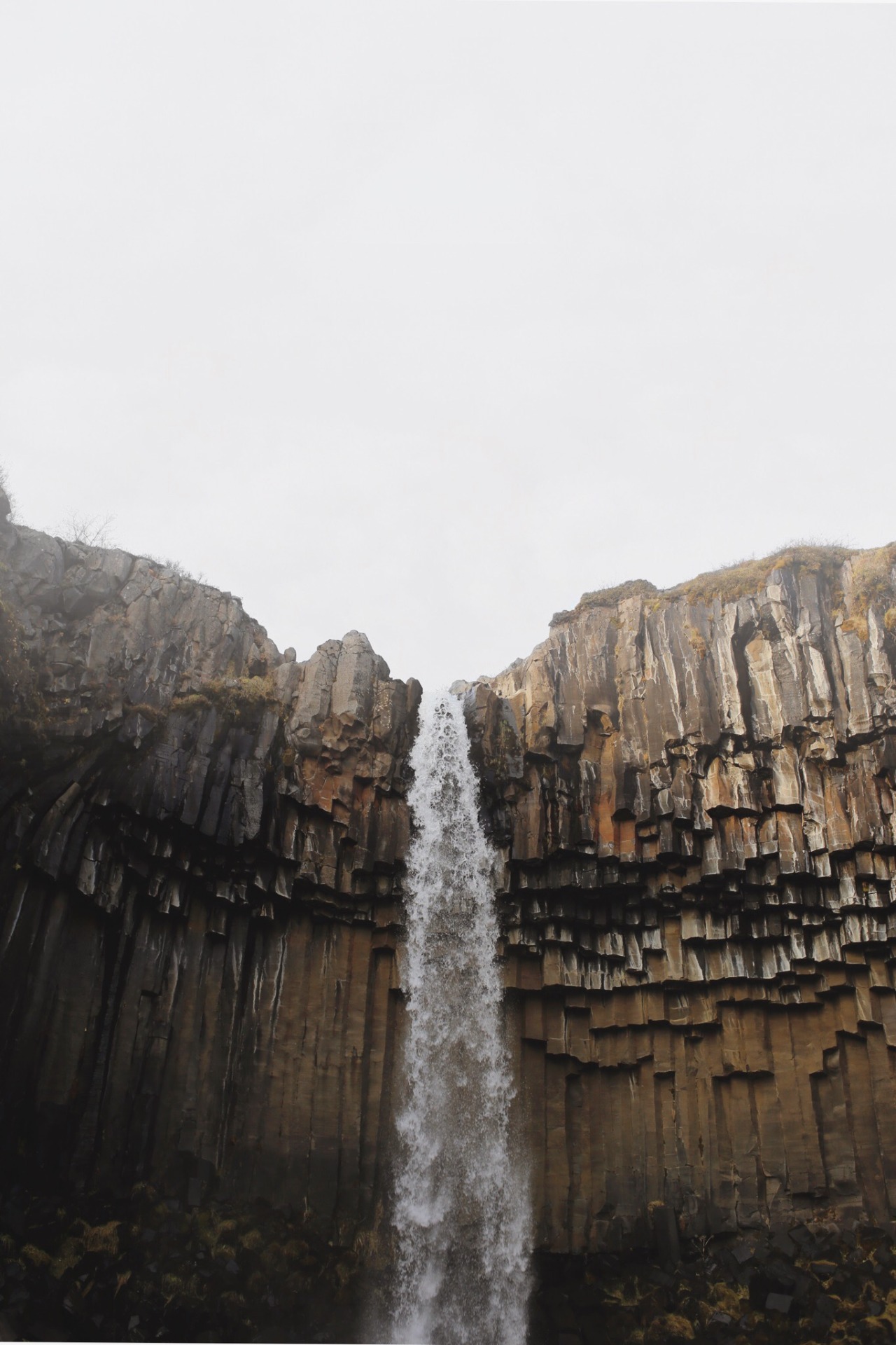 Archillect ID 396015