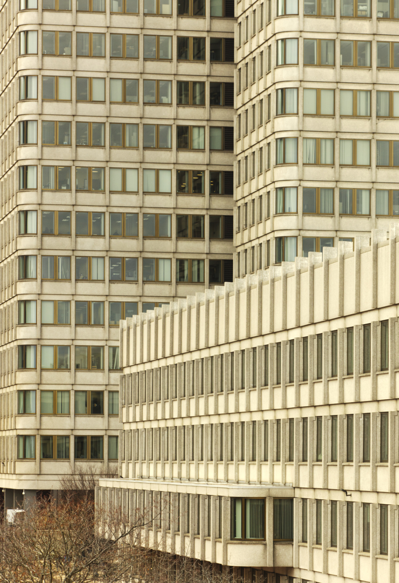 Archillect ID 396069