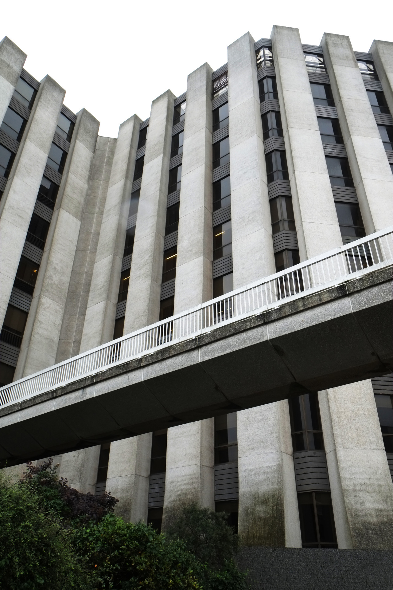 Archillect ID 396149