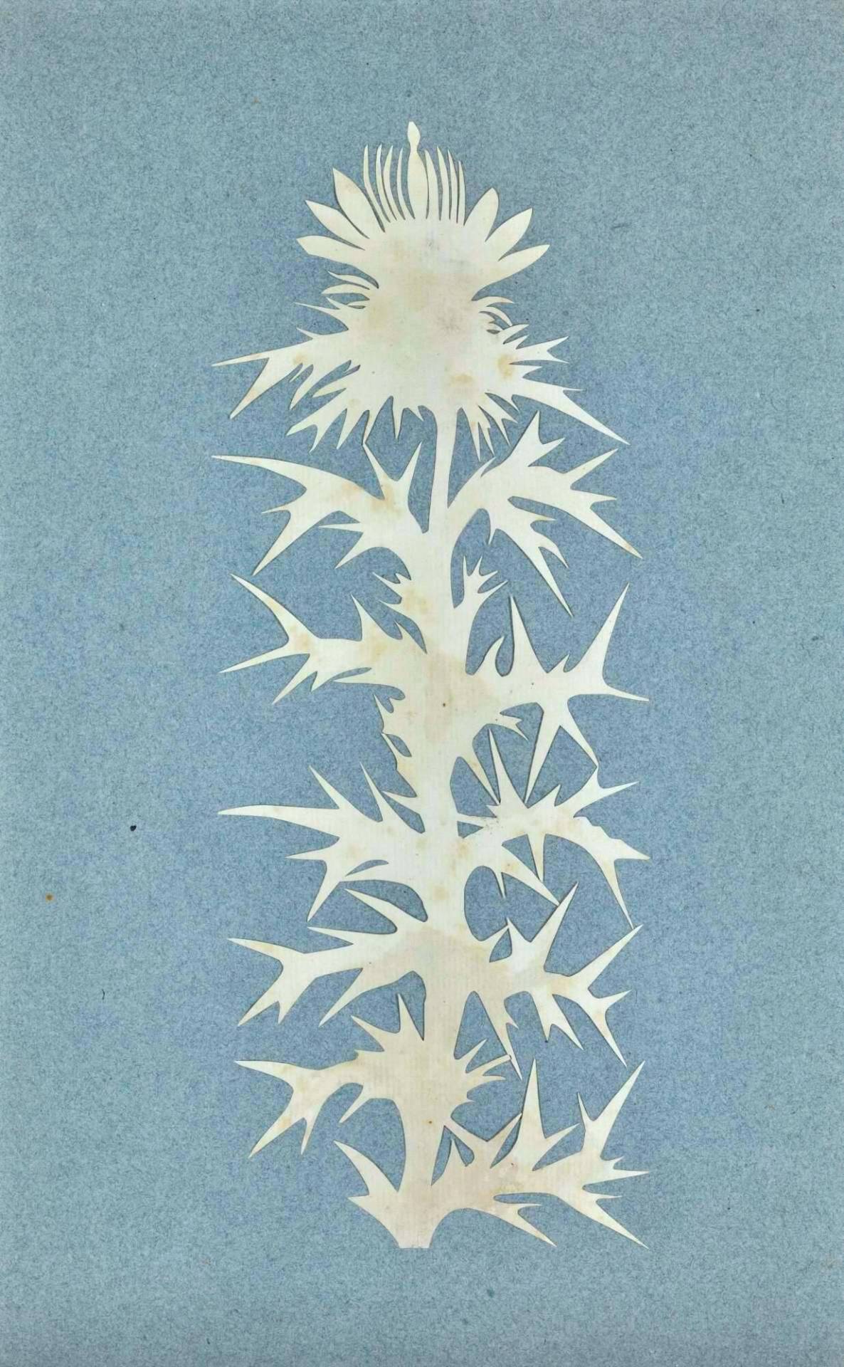 Archillect ID 396192