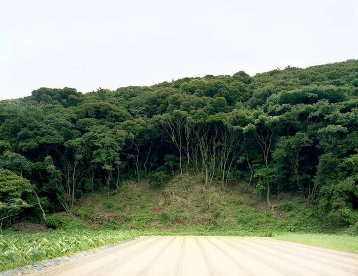 Archillect ID 396194