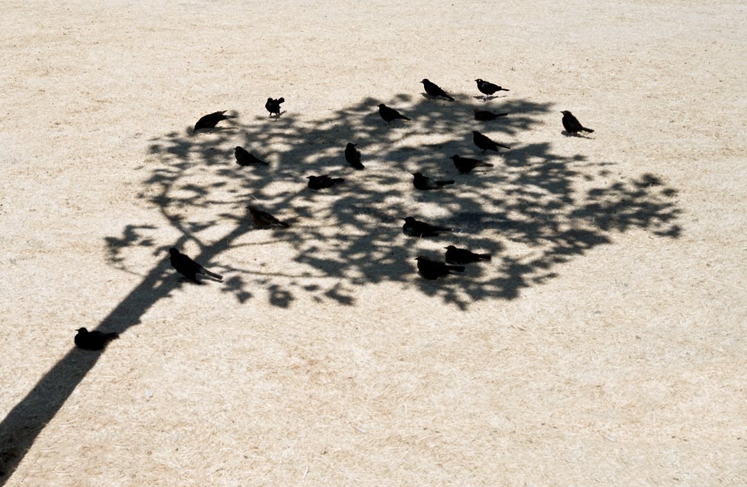 Archillect ID 396199