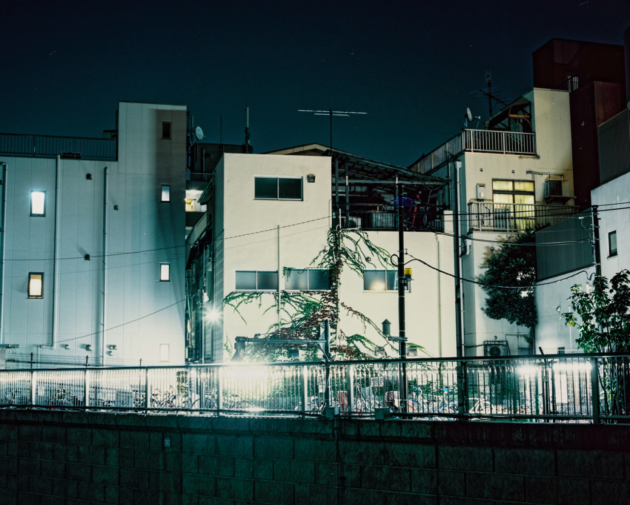 Archillect ID 396205