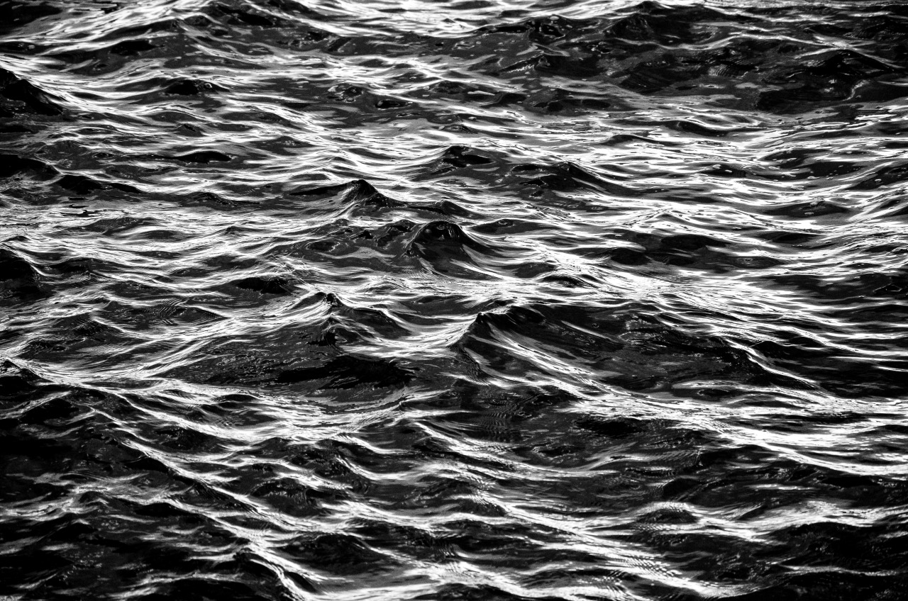 Archillect ID 396215