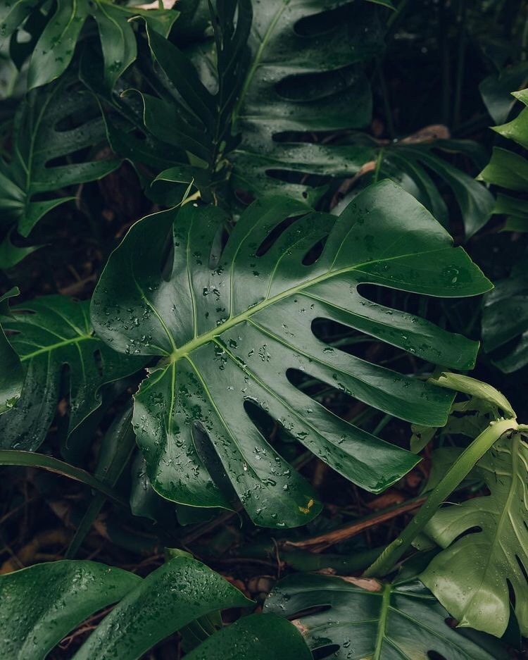 Archillect ID 396272