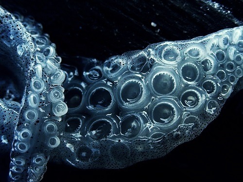 Archillect ID 396282