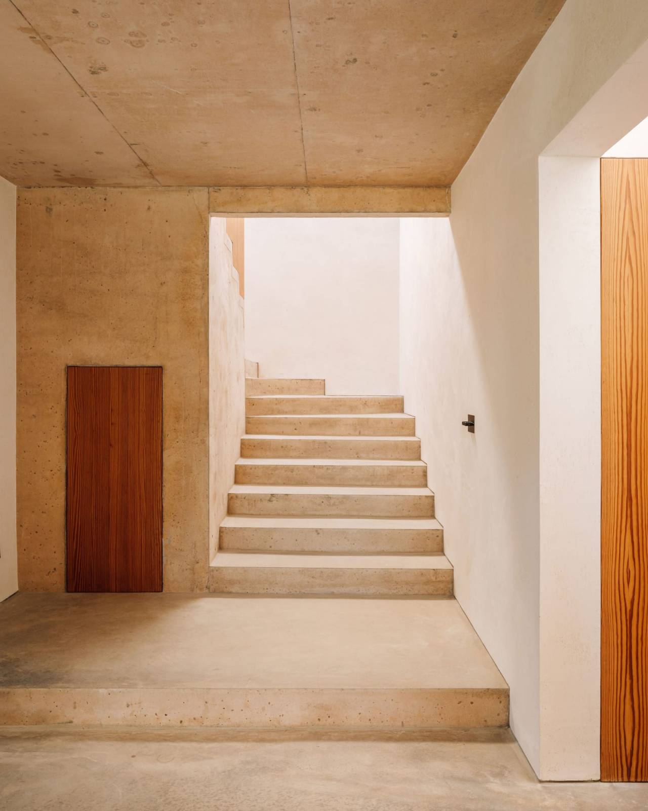 Archillect ID 396371