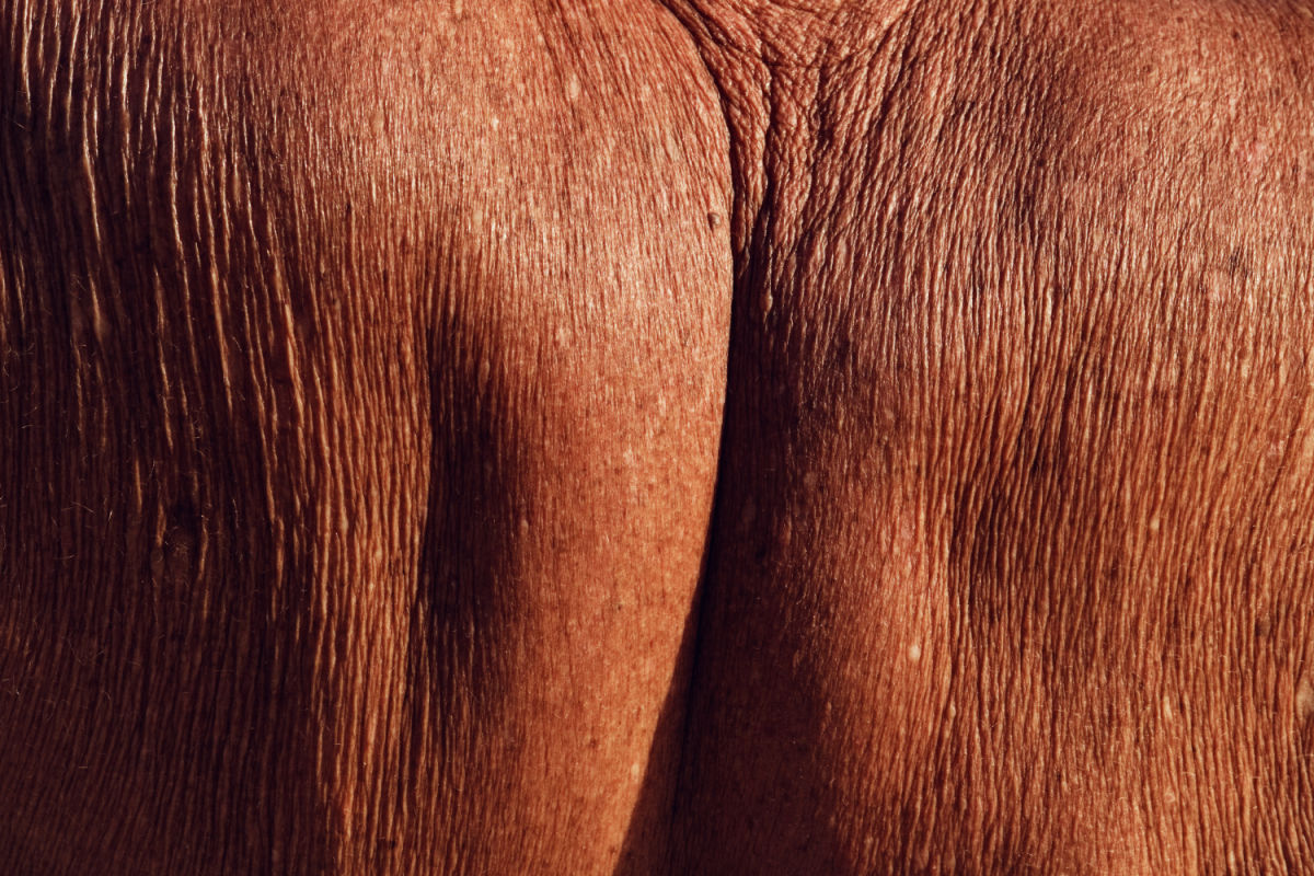 Archillect ID 396414