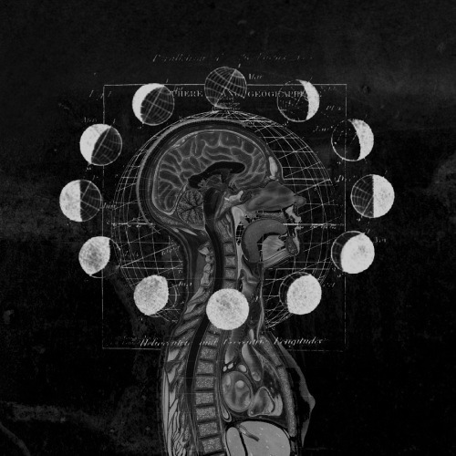 Archillect ID 396420