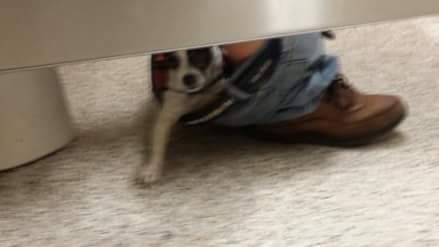 Archillect ID 396425