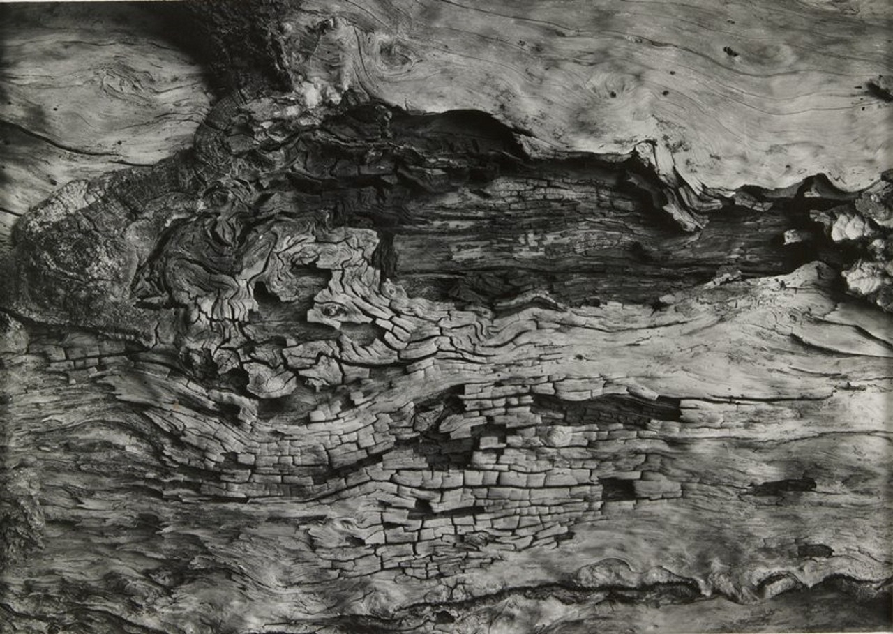 Archillect ID 396426