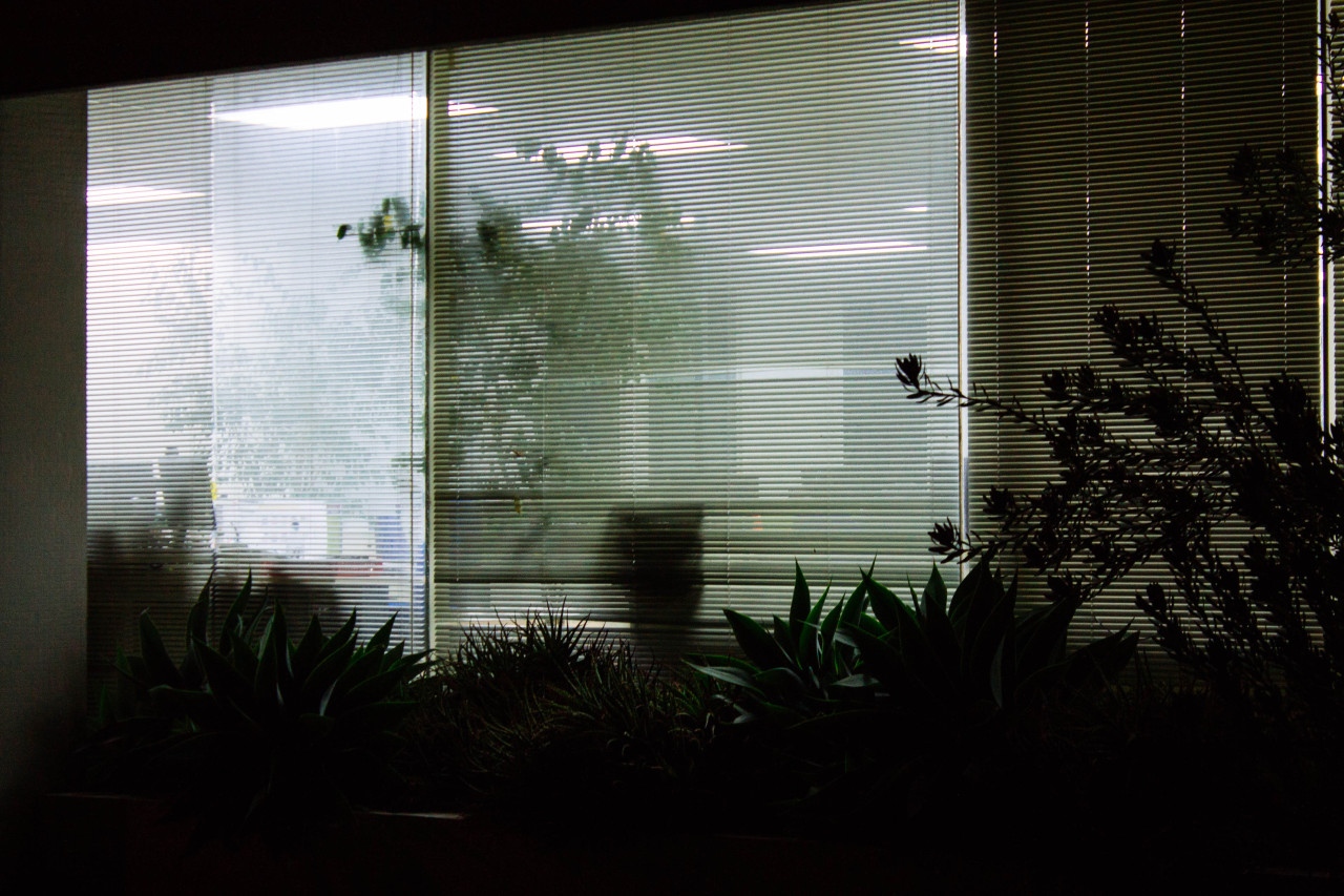 Archillect ID 396440