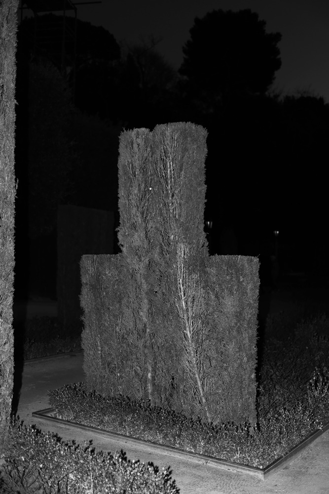 Archillect ID 396451