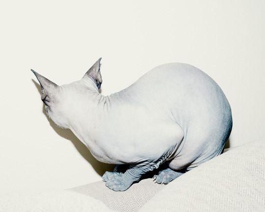 Archillect ID 396493