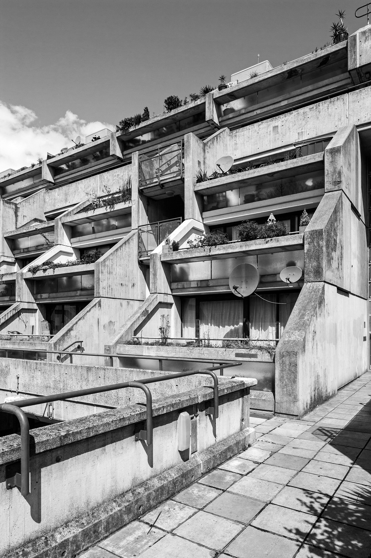 Archillect ID 396537