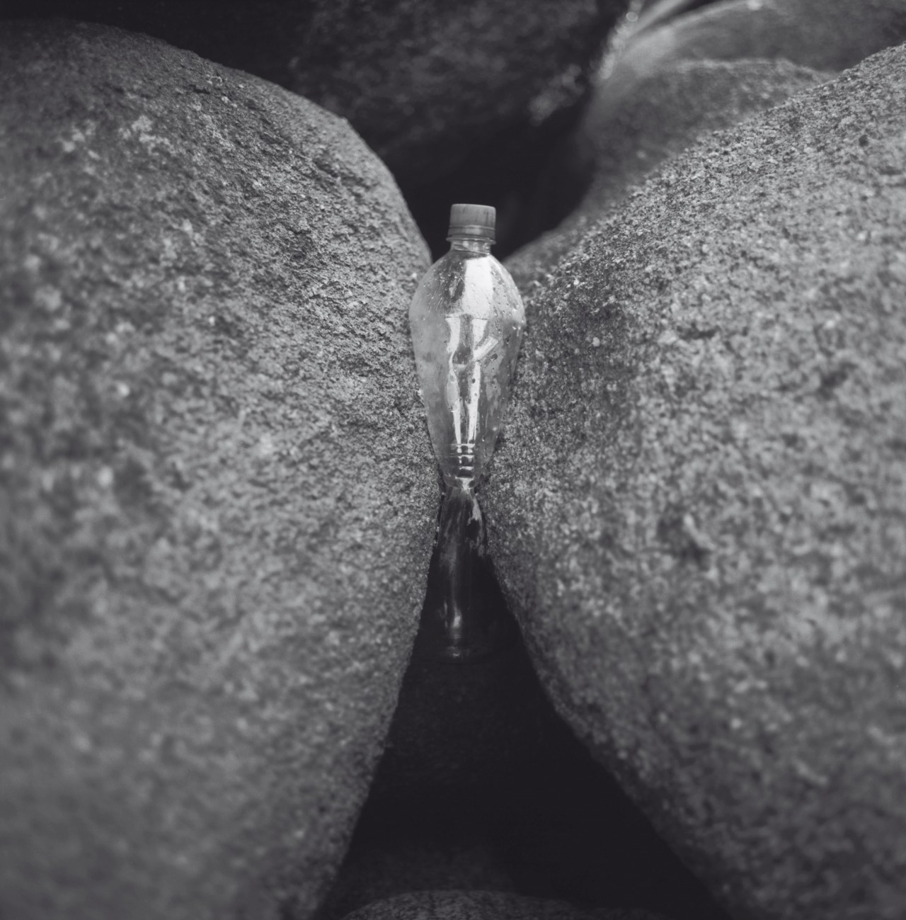 Archillect ID 396546