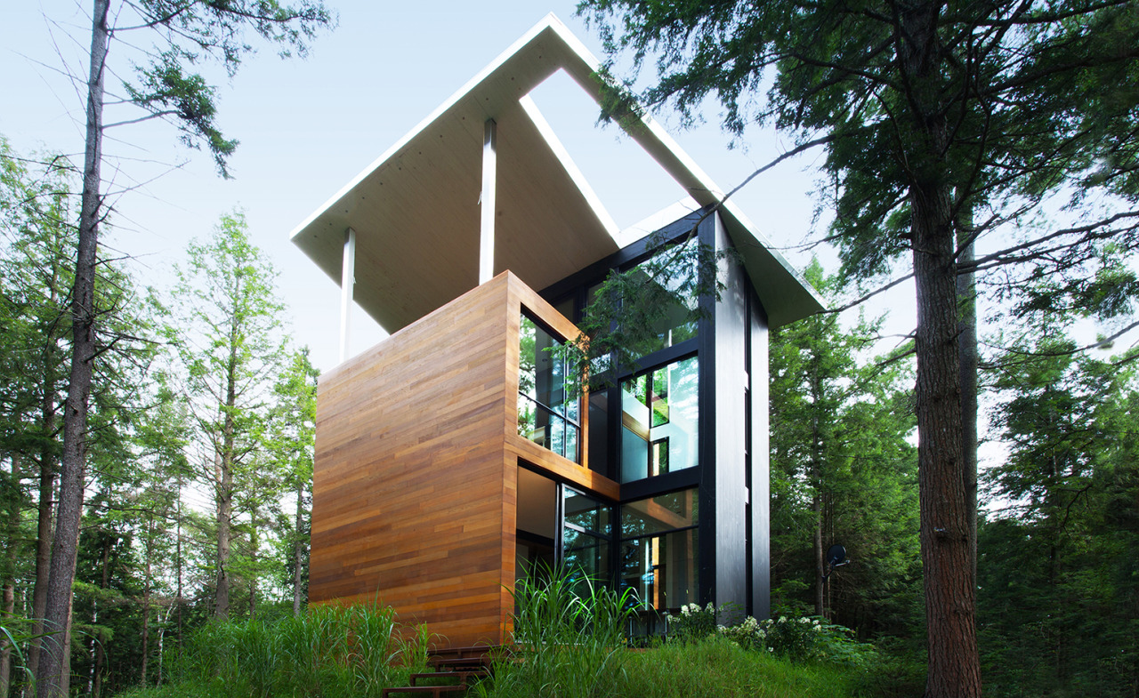 Archillect ID 396564