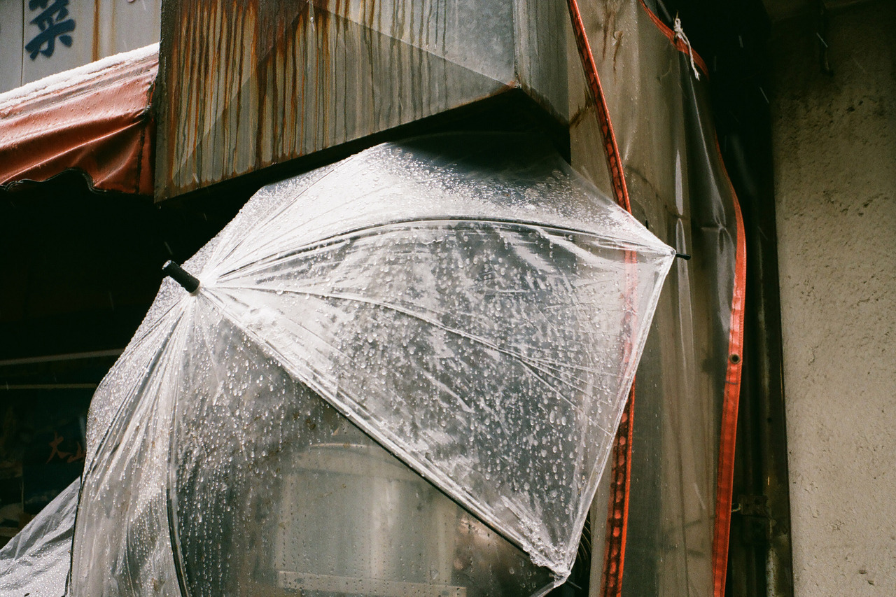 Archillect ID 396576