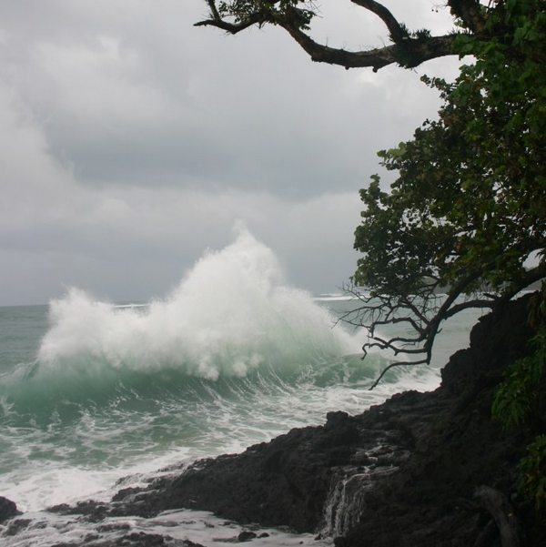 Archillect ID 396596