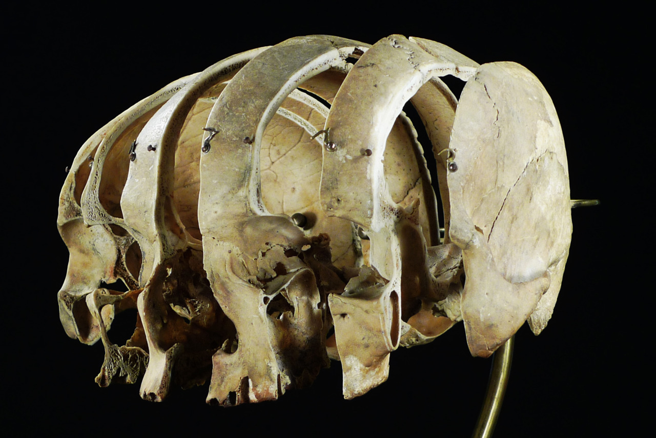 Archillect ID 396624