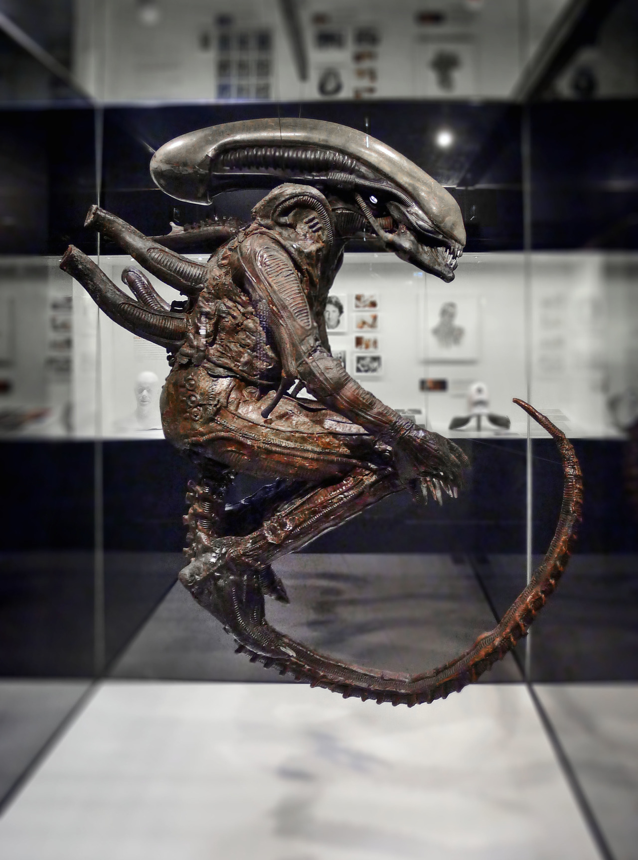 Archillect ID 396638