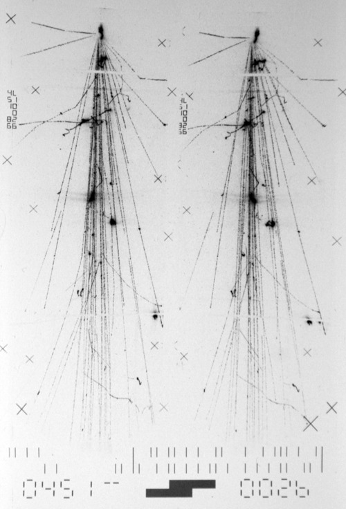 Archillect ID 396646